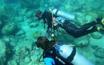 Antigua SCUBA Diving with Mamora Bay Divers
