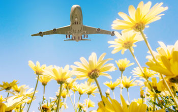 flowers, planes, airport