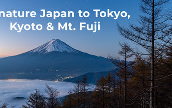 Signature Japan to Tokyo, Kyoto & Mt. Fuji