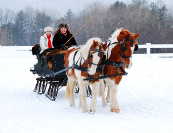 snow, winter, sleigh, horses, Stockbridge, Massachusetts
